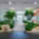 Salesforce Tokyo Ohana Floor - Garden