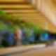Salesforce Tokyo Ohana Floor - Lobby