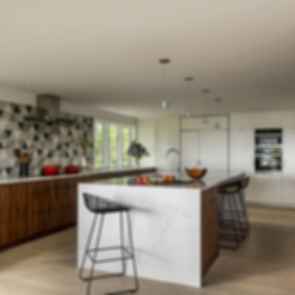 Windermere Midcentury Renovation - Kitchen