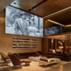 Madison Desert Club - Projector