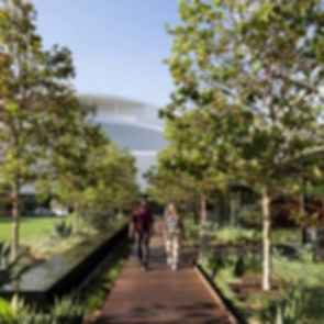 NBCUniversal Campus Project - Green Space