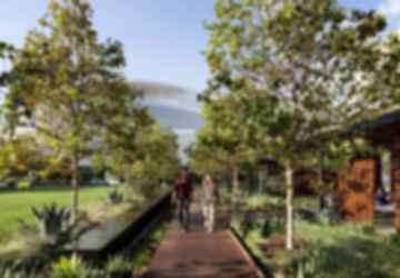 NBCUniversal Campus Project - Green Space