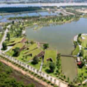 The Park