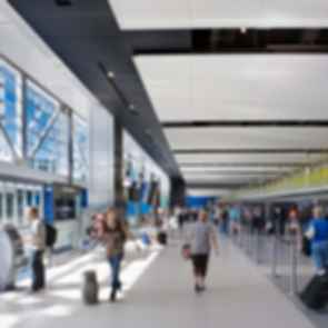Detroit Metropolitan Airport - Check In