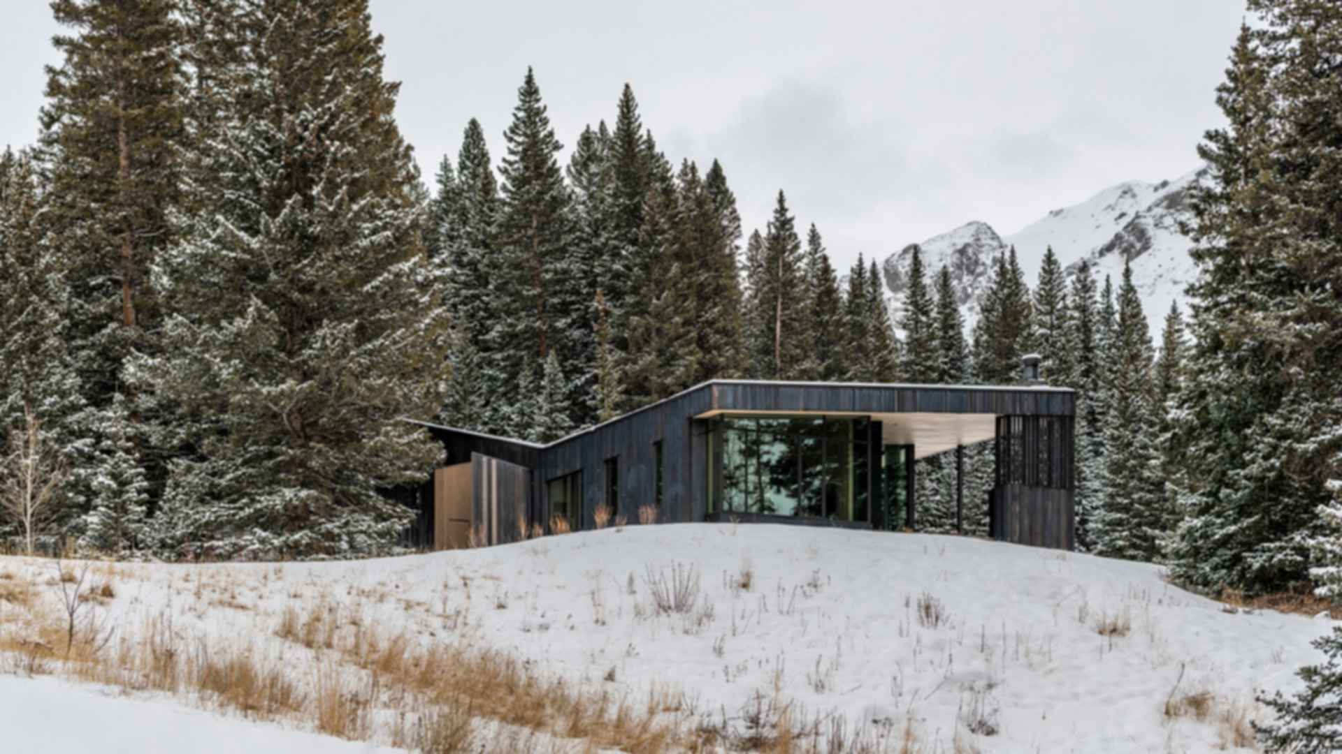 DNA Alpine