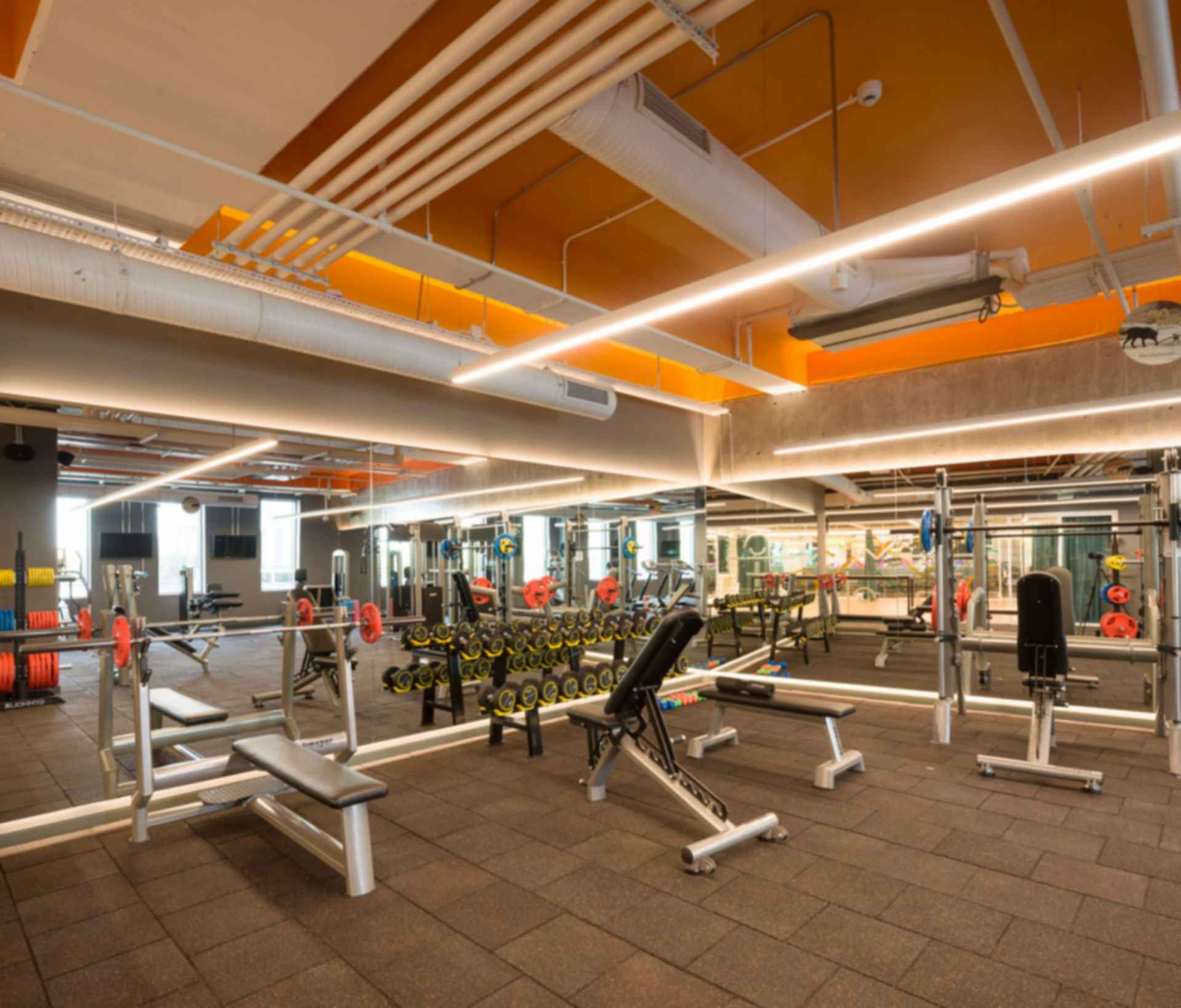 Trendyol Campus - Fitness Center