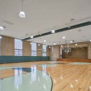 The School at Marygrove - Gymnasium