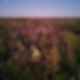 Bunkie On The Hill - Aerial View