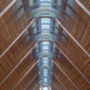 Sacred Heart Cathedral - Ceiling