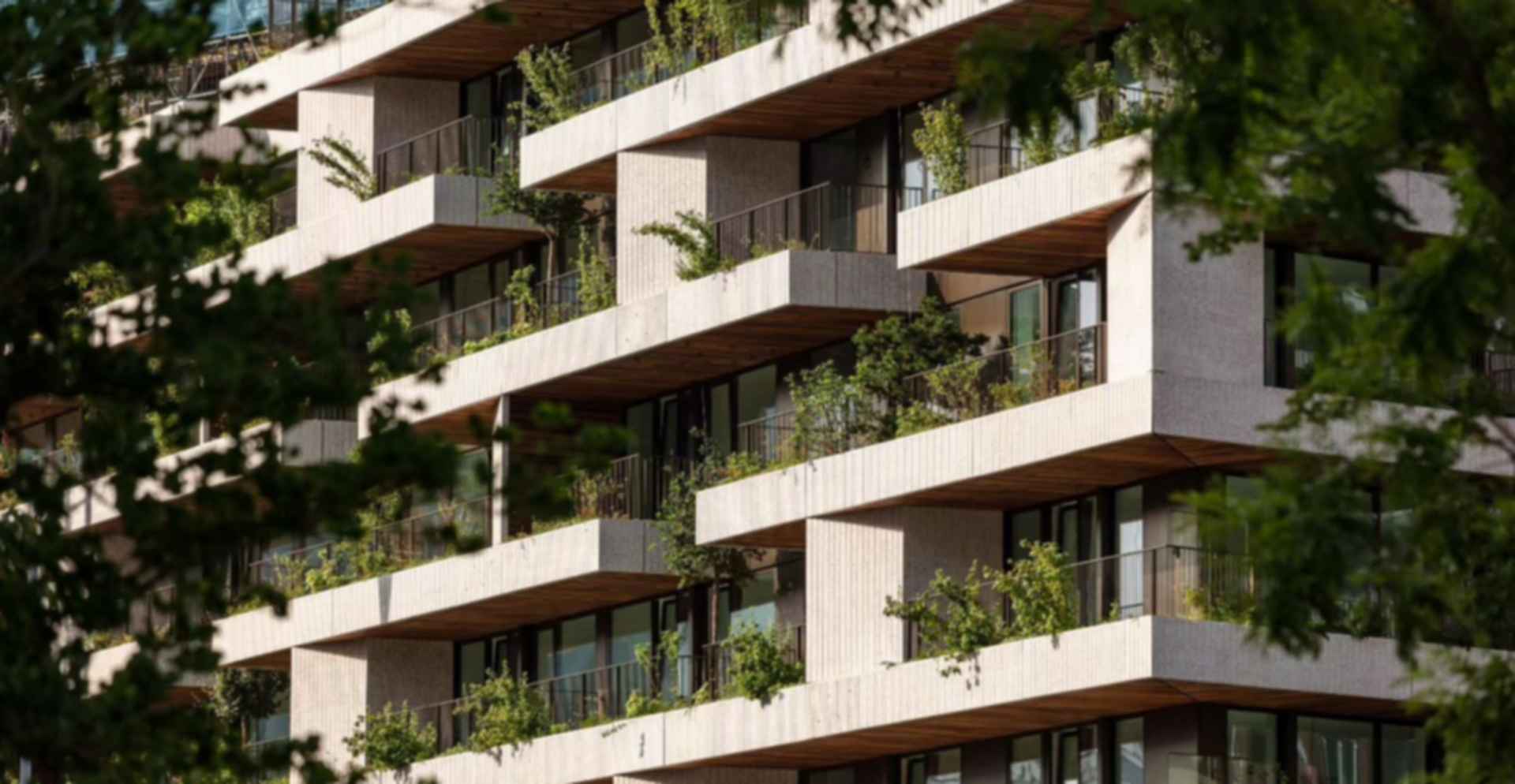 Wonderwoods Utrecht