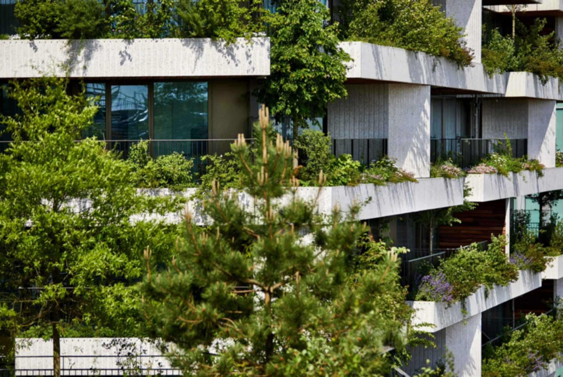 Wonderwoods Utrecht - Balconies