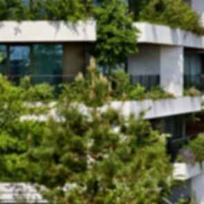 Wonderwoods Utrecht - Balconies