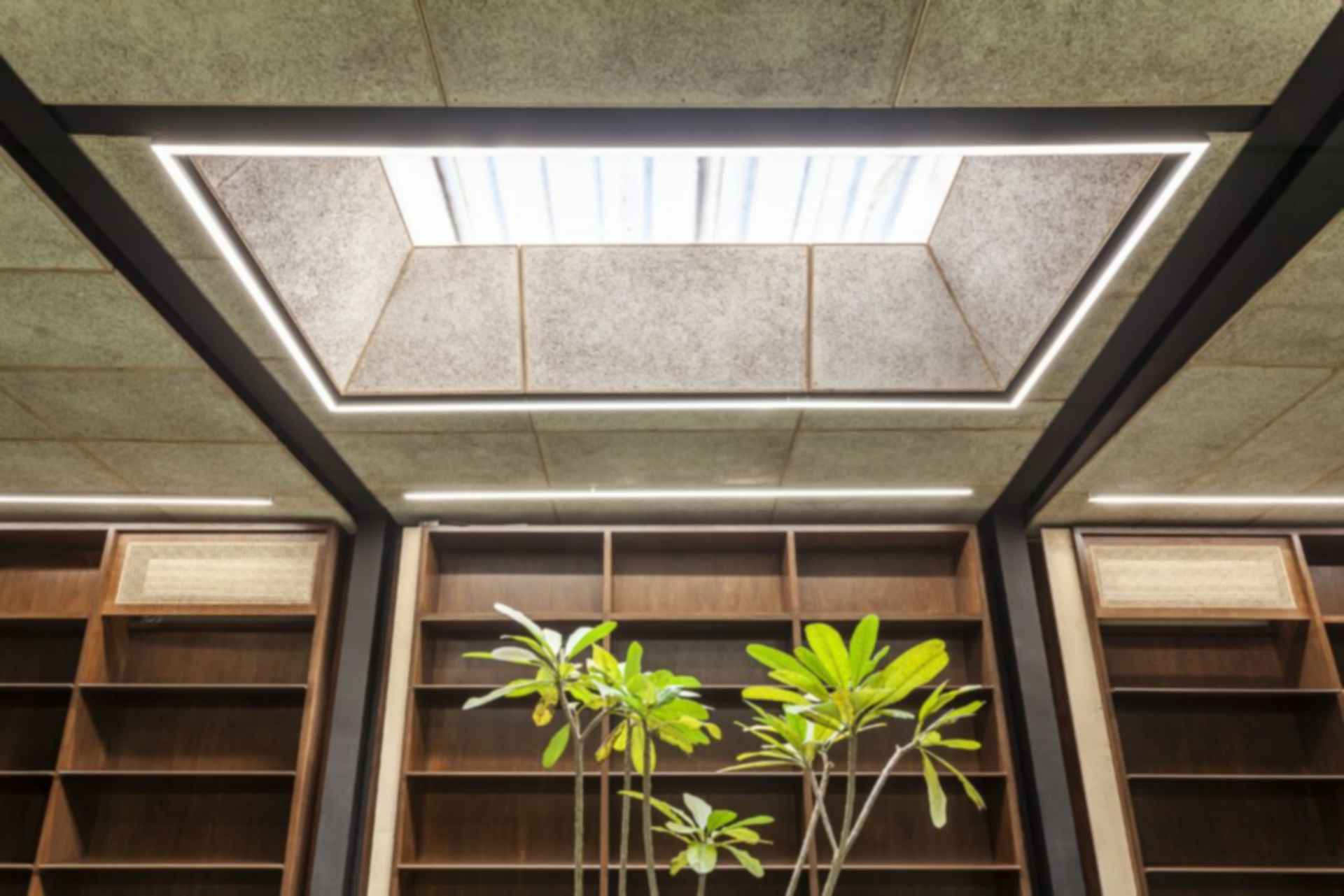 The Common Room - Skylight