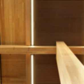 Google Borregas - Timber Ceiling