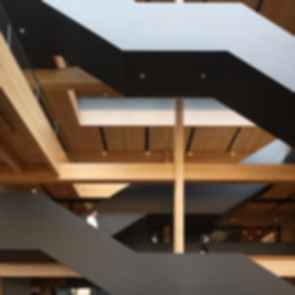 Google Borregas - Atrium