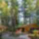 Little House - Big Shed