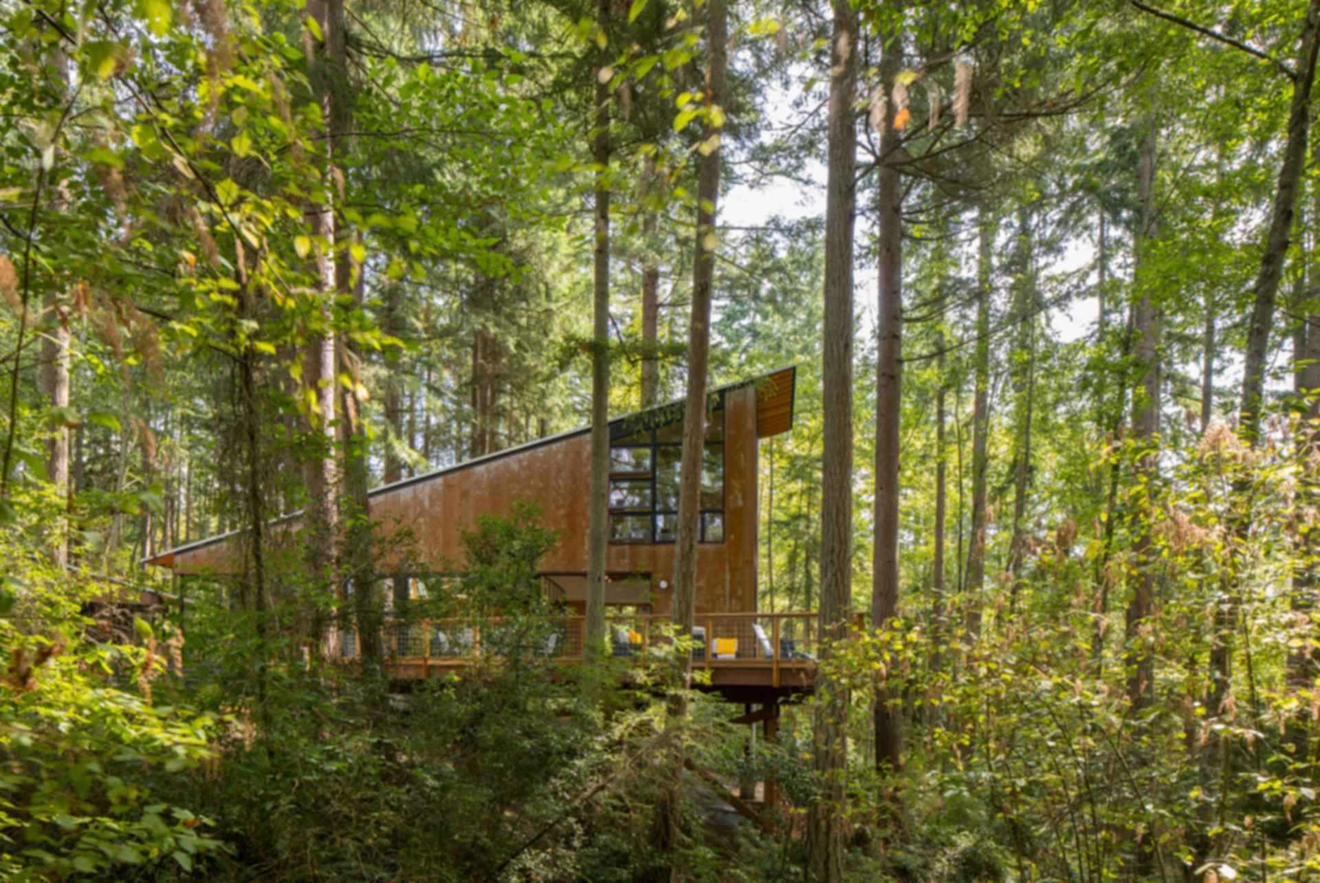 Little House - Big Shed - Exterior