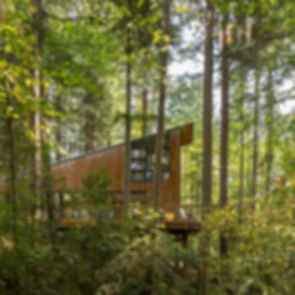 Little House - Big Shed - Exterior