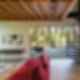 Little House - Big Shed - Interior