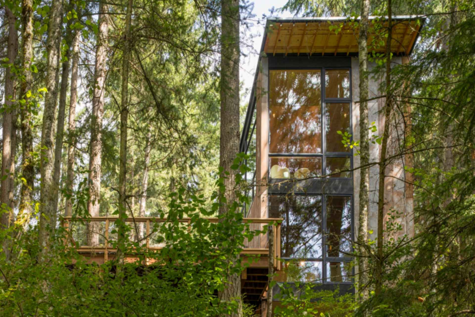 Little House - Big Shed - Façade