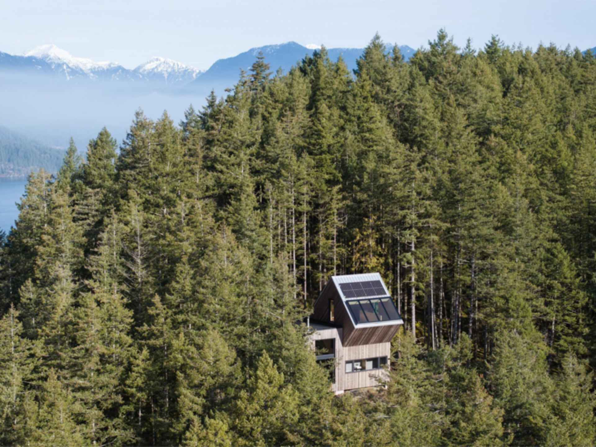 The Nest - Exterior