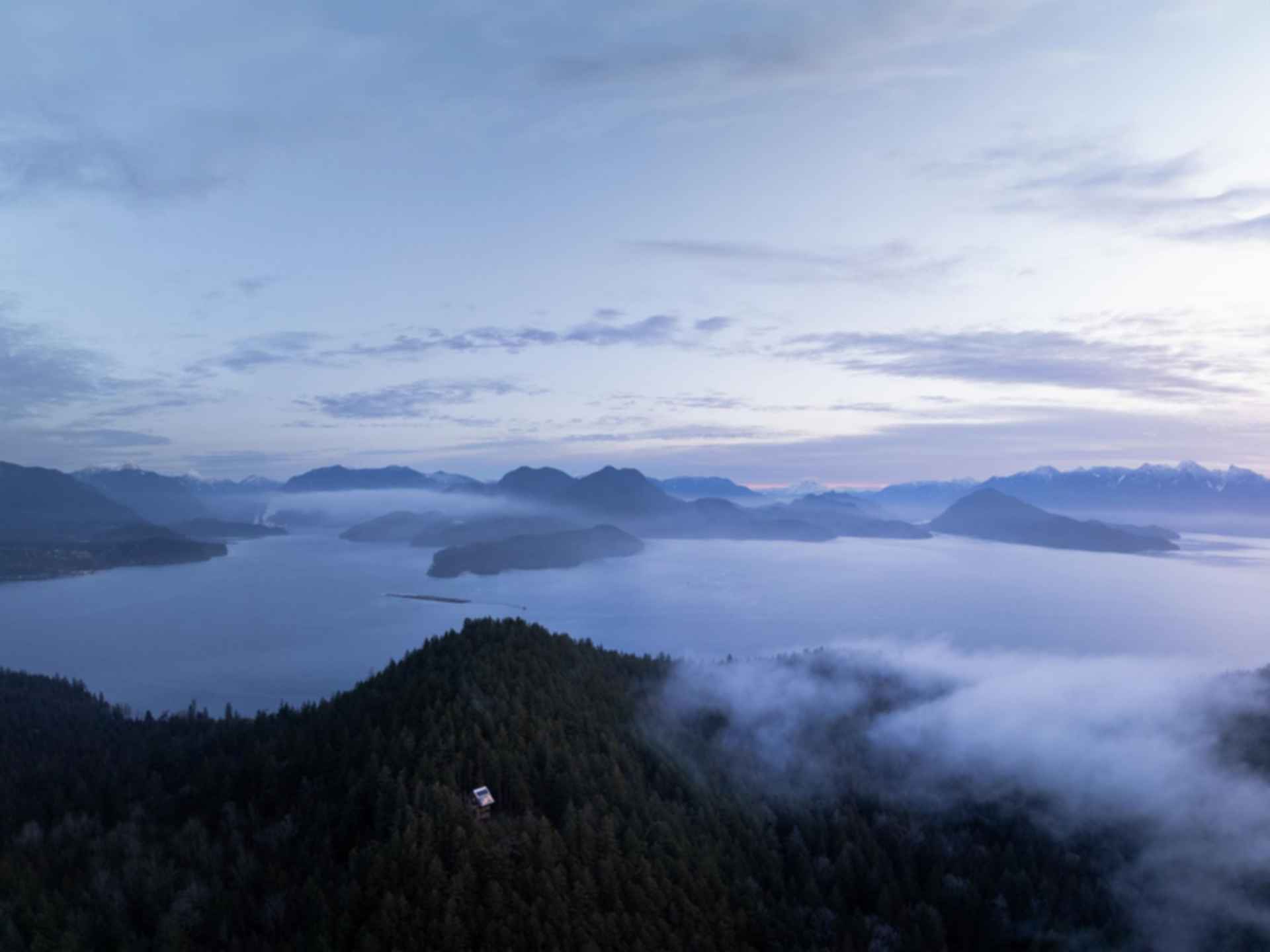 The Nest - Aerial View