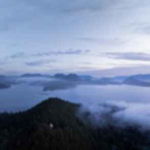 The Nest - Aerial View