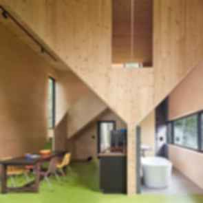 The Nest - Interior