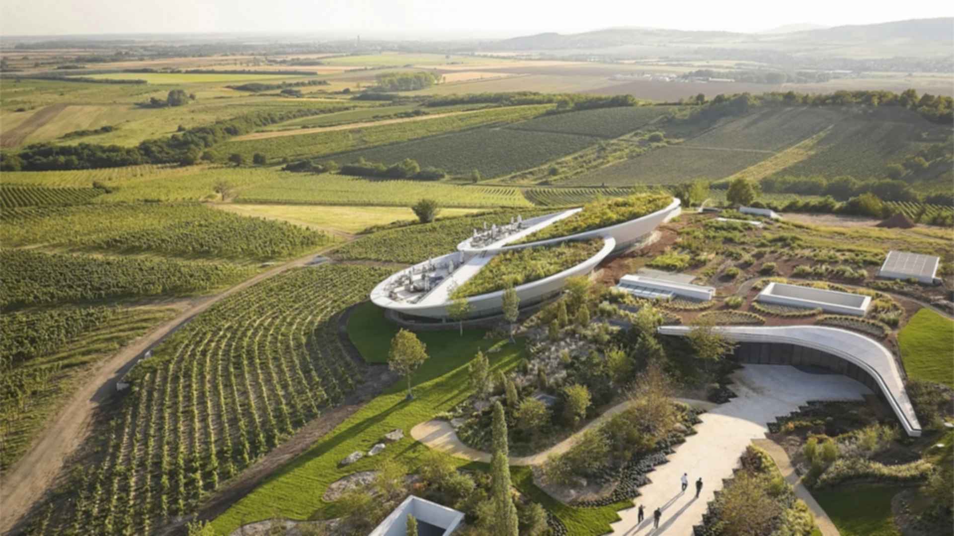 Sauska Tokaj