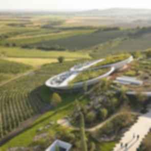 Sauska Tokaj