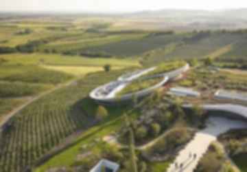 Sauska Tokaj