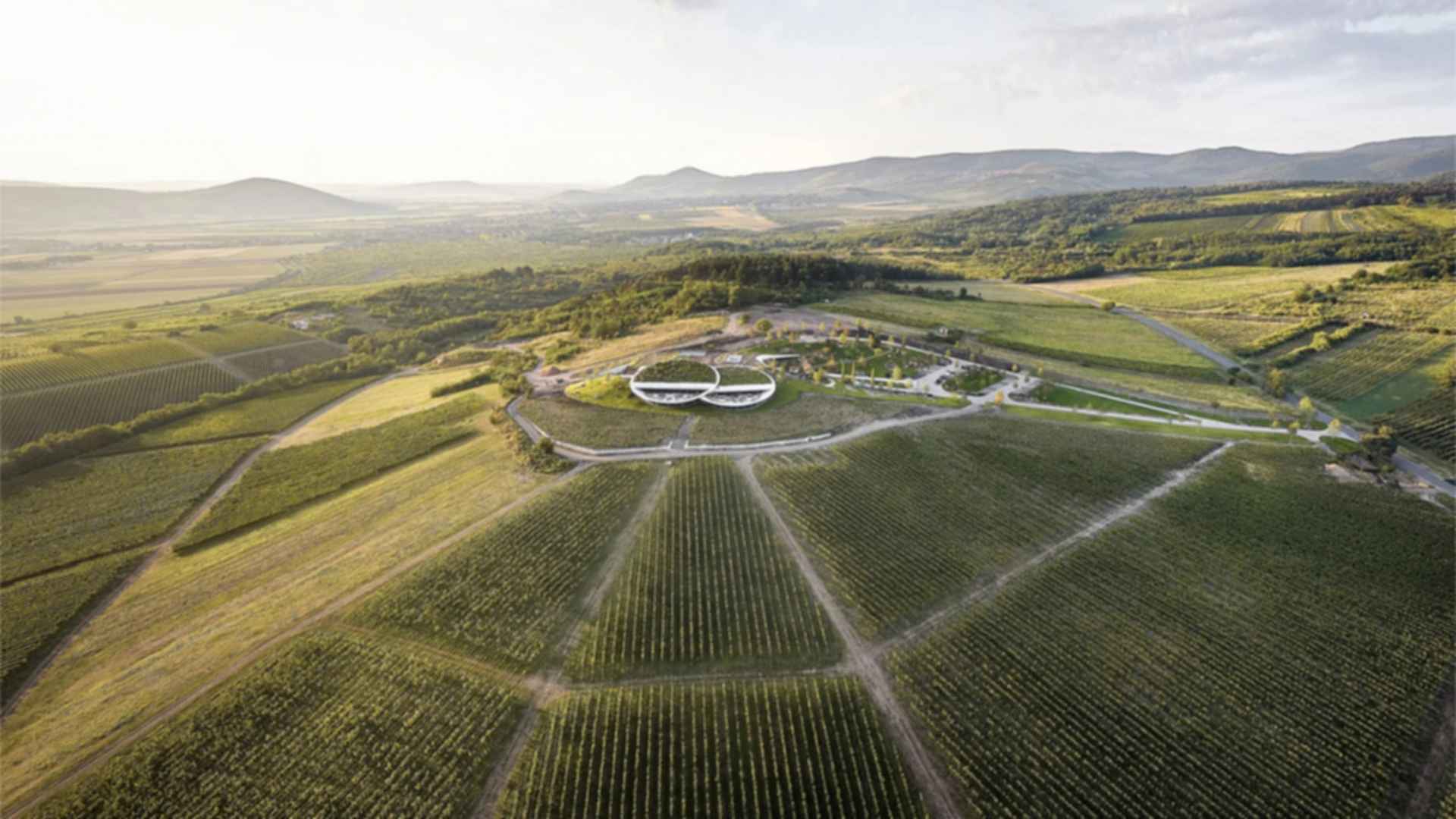 Sauska Tokaj - Aerial View