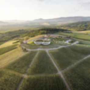 Sauska Tokaj - Aerial View