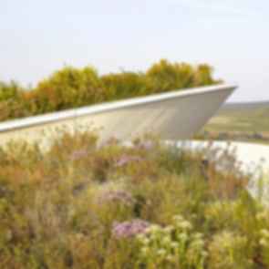 Sauska Tokaj - Green Roof