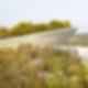 Sauska Tokaj - Green Roof