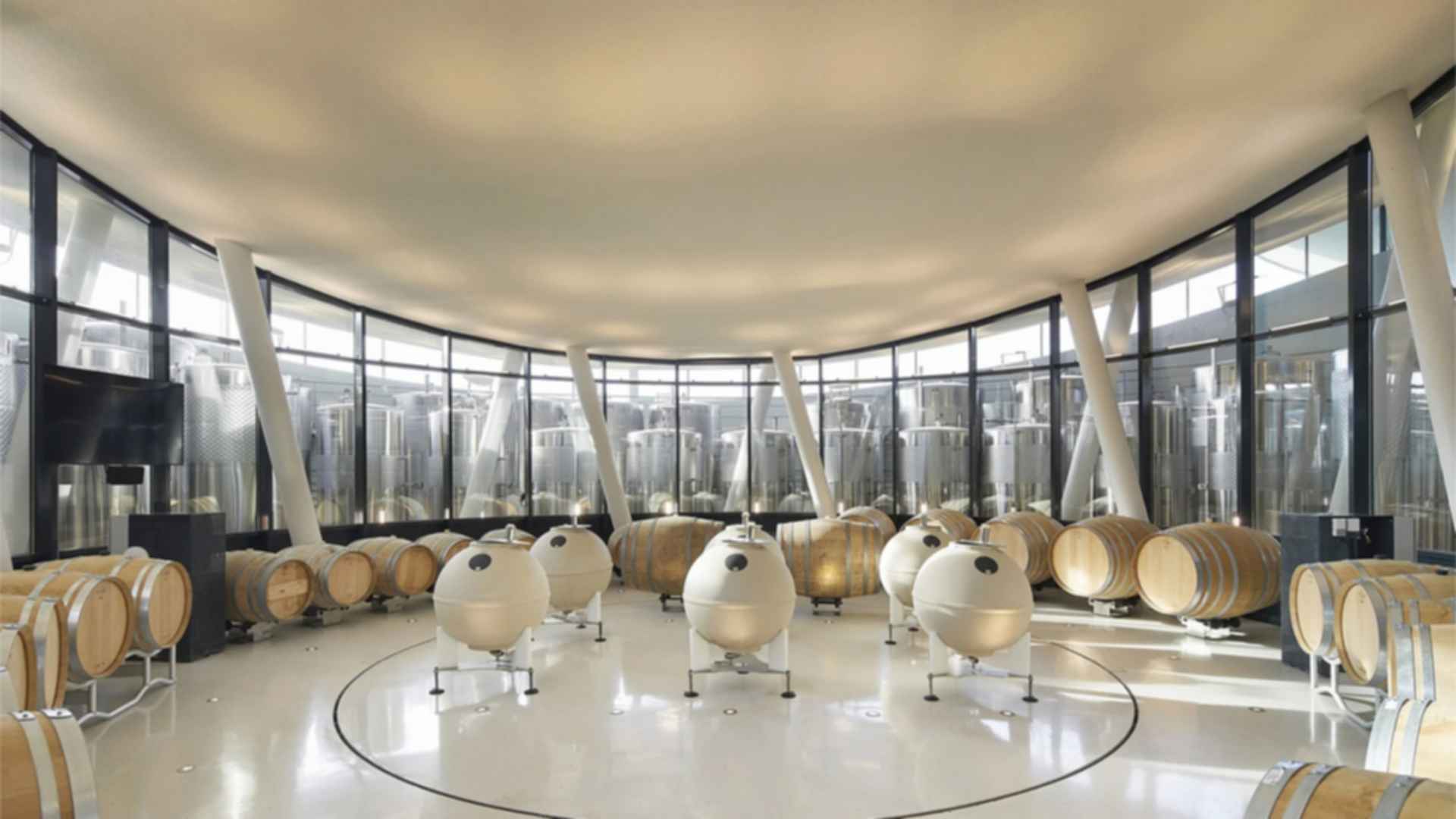 Sauska Tokaj - Barrel Room