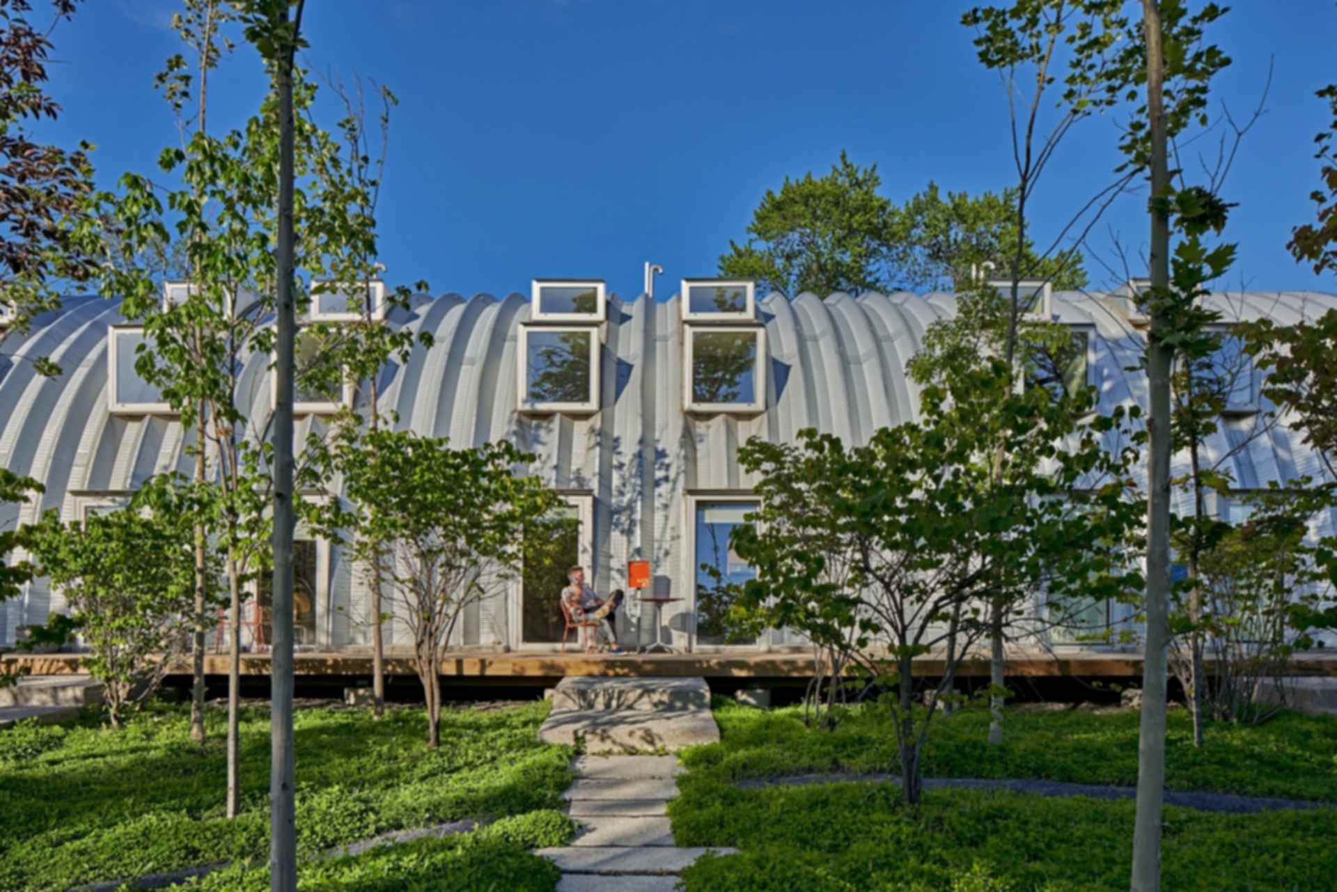 Caterpillar Caterpillar