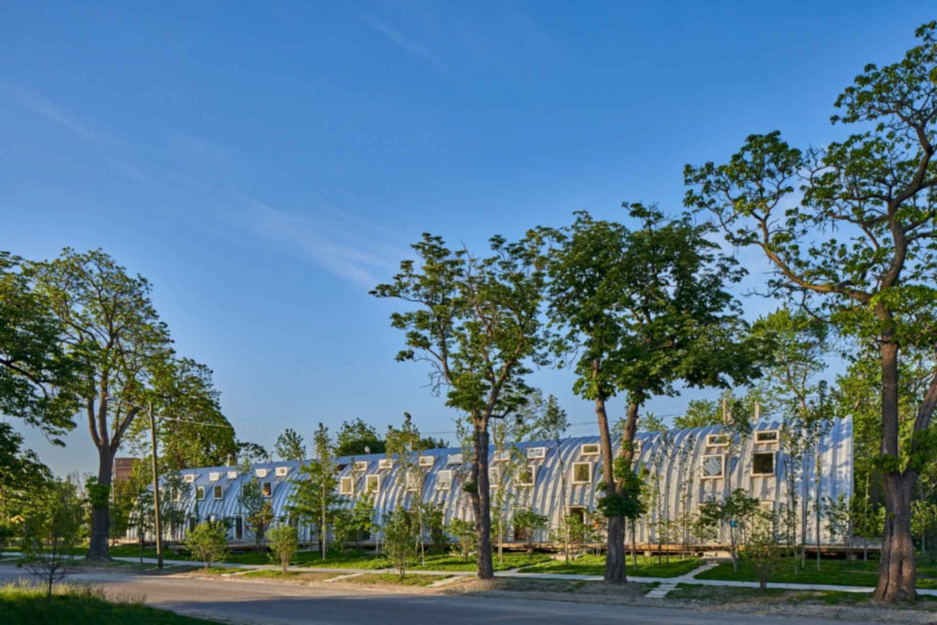 Caterpillar - Exterior