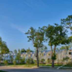 Caterpillar - Exterior