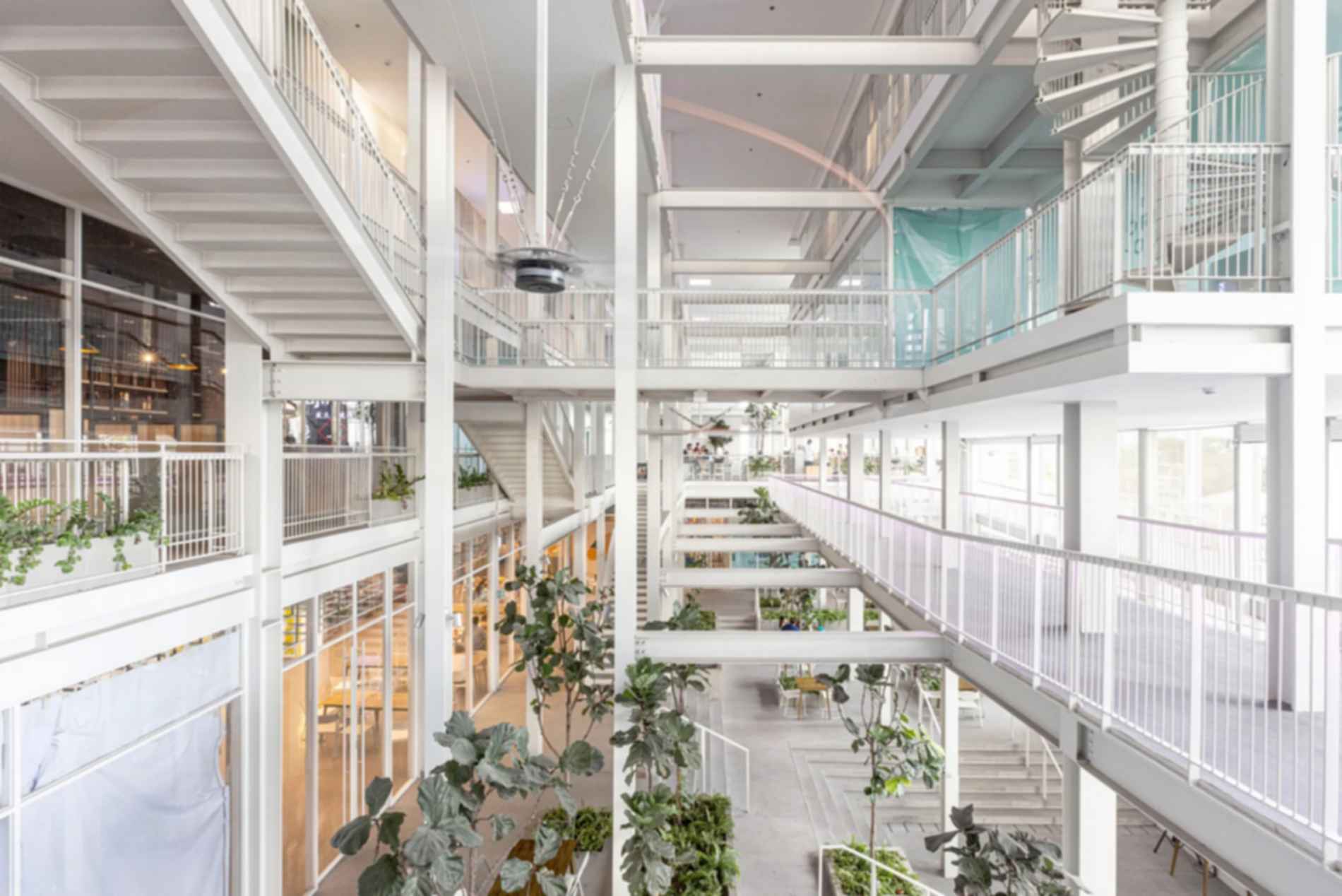 The Corner House The Corner House