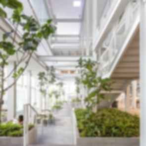 The Corner House - Interior