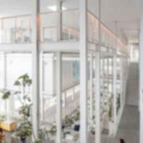 The Corner House - Walkways