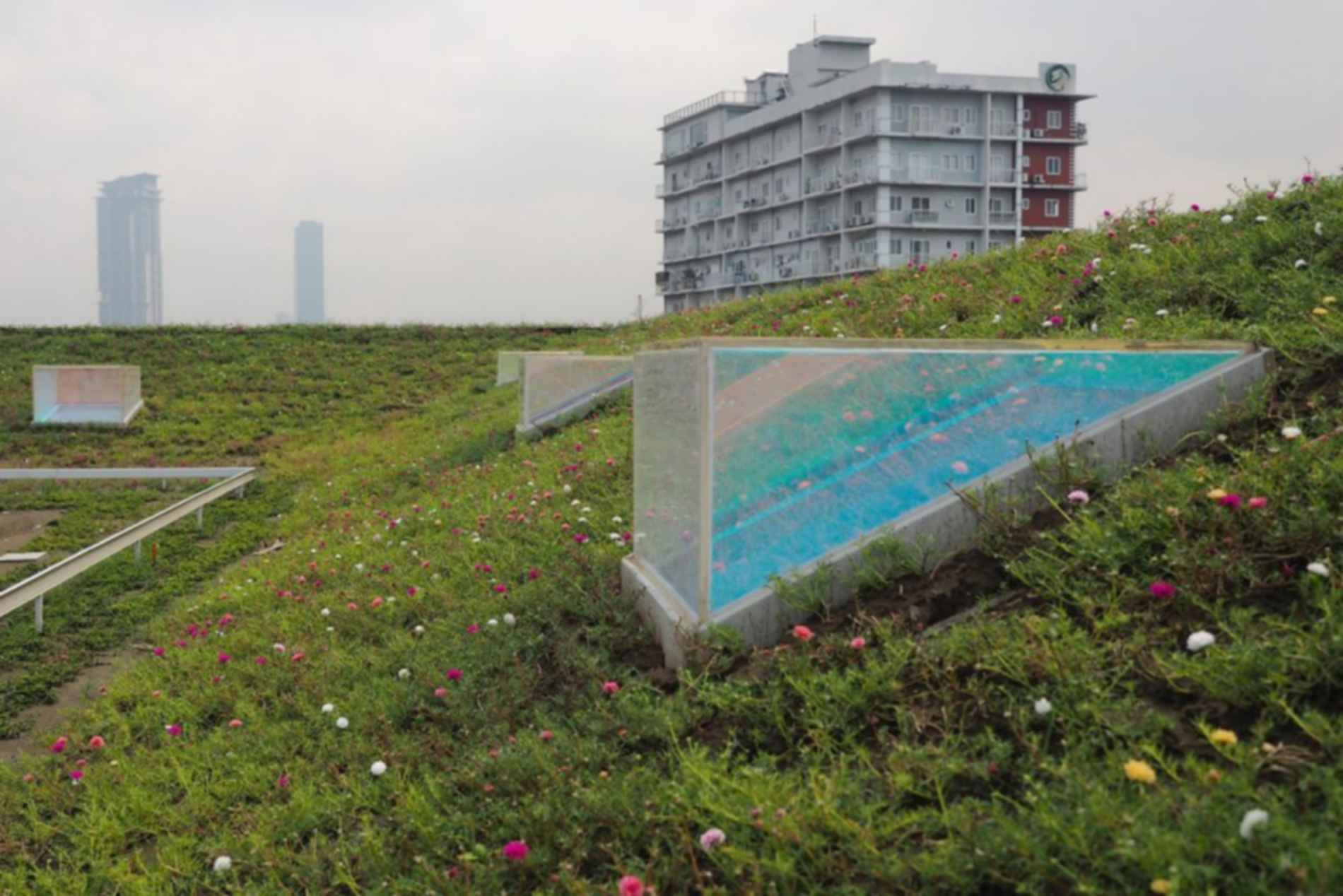 The Corner House - Green Roof