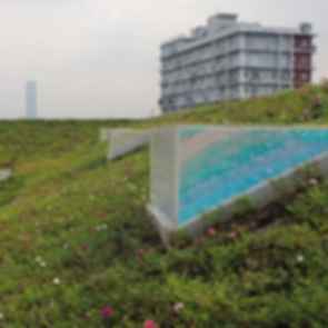 The Corner House - Green Roof