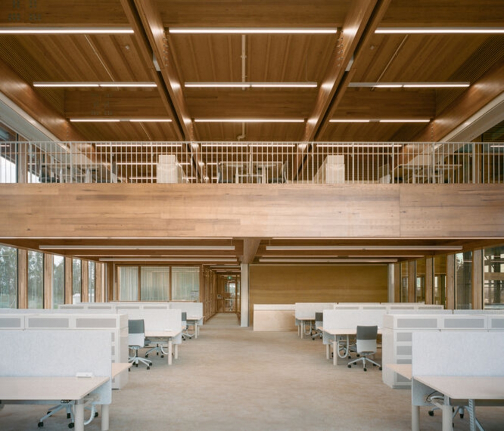 Workspace Constructtion First Building - Workspaces - modlar.com
