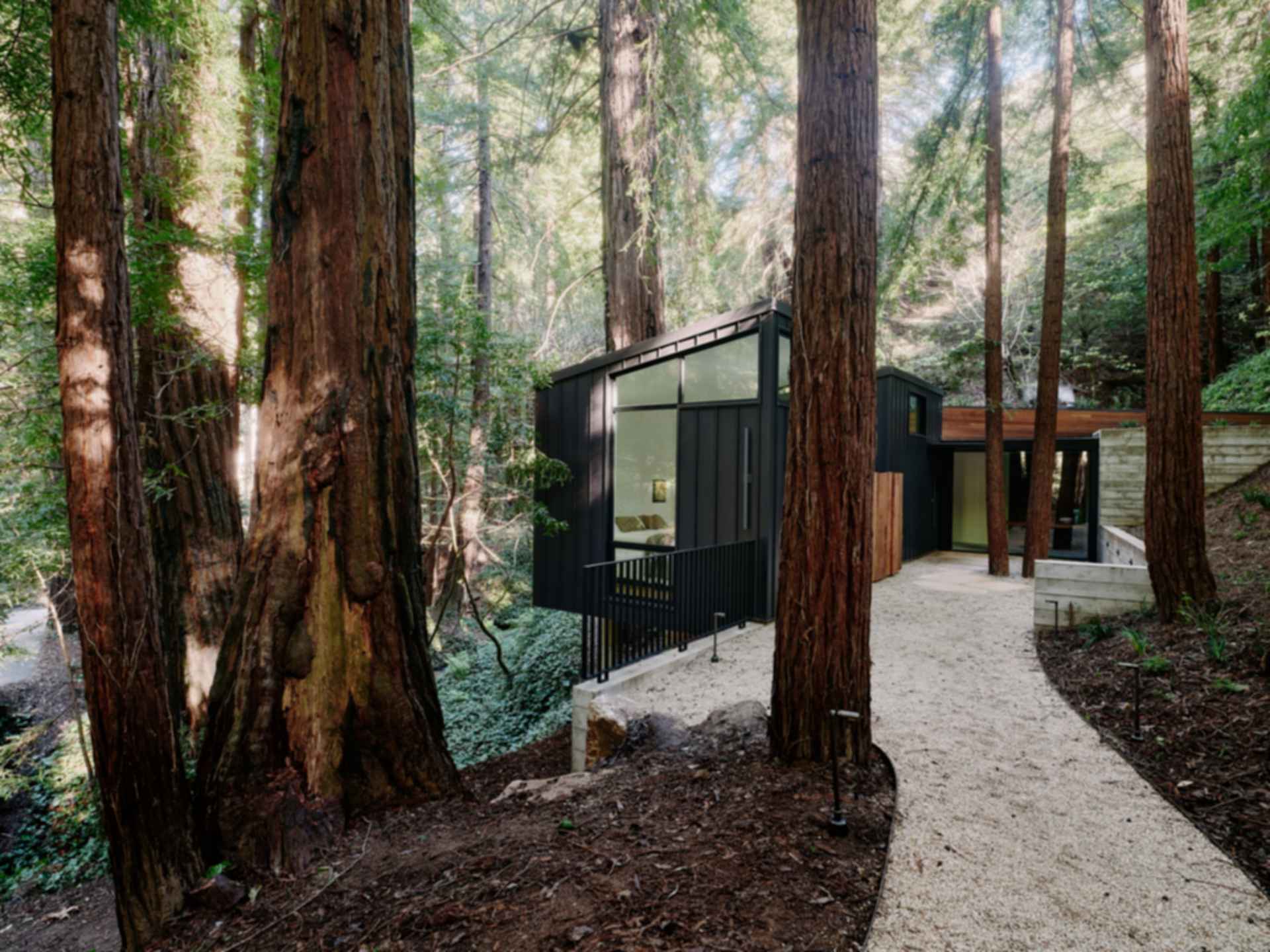 Big Sur Cabin II