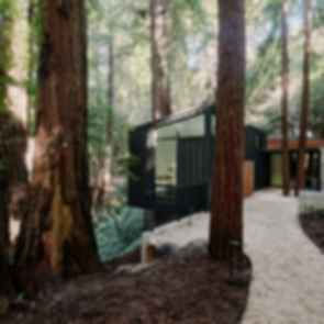 Big Sur Cabin II