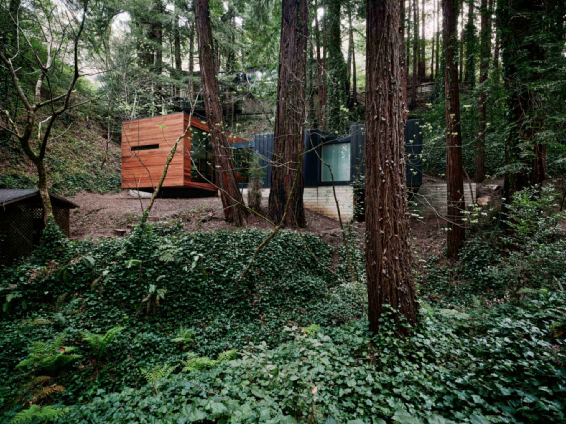 Big Sur Cabin II - Exterior