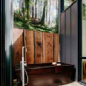Big Sur Cabin II - Outdoor Bath