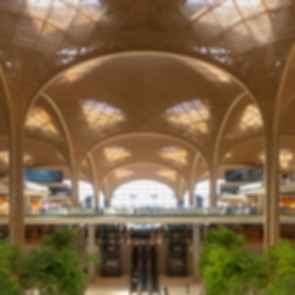 Techo International Airport - Ceiling